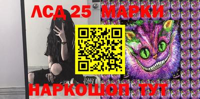 шишки Тара