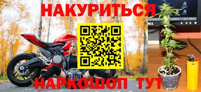 шишки Тара
