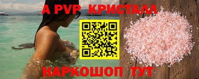 шишки Тара