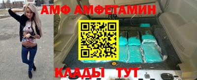шишки Тара