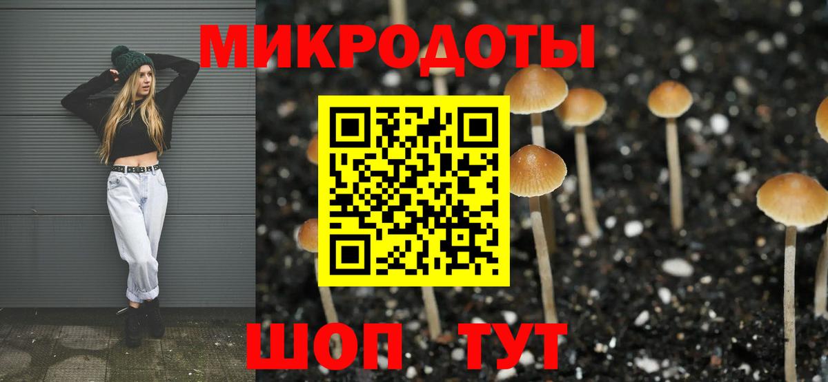 Галлюциногенные грибы Magic Shrooms  Галлюциногенные грибы Psilocybine cubensis  Вход с VPN  Обь 